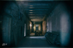 DSC_0116-Edit