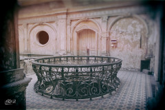 DSC_0120-Edit
