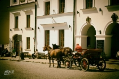 Kazimierz (1)