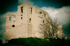 Kazimierz (3)