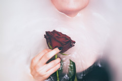 DSC_0815-Edit-2
