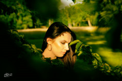 DSC_4233-Edit