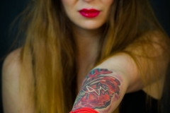 Fibi - 21015-11-21