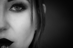 Fibi - 21015-11-21
