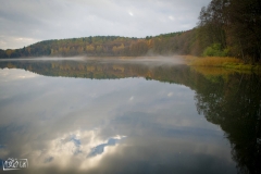 Gryżyna - 2015-11-06