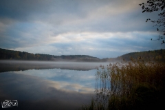 Gryżyna - 2015-11-06