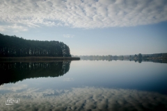 bronkow (2)