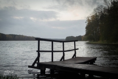 tarnowskie duze (2)