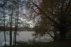 tarnowskie duze (4)