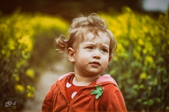 DSC_0435-Edit