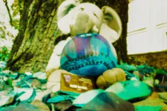 Lomography Diana F  na OFFO 2023