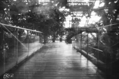 Pierwsze prace aparatem NOON  -  2-03-2024