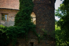 Plener w Broniszowie
