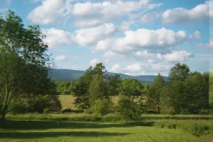 img20250608_12441033_wynik