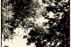 DSC_0886-Edit