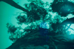 1200-dpi-slawa-4-7-dni-Edit