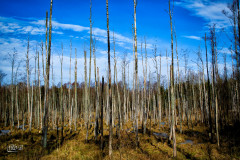 DSC_0057-Edit