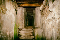 DSC_0082-Edit