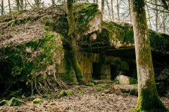DSC_0099-Edit