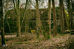 DSC_0100-Edit
