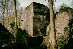 DSC_0109-Edit