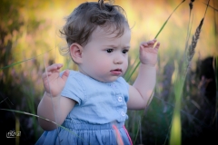 DSC_0653-Edit