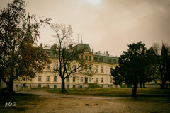 DSC_0012-Edit