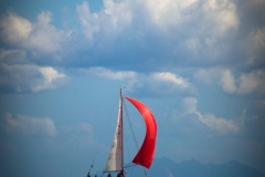 korsyka (50)