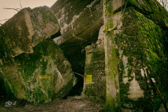 DSC_0103-Edit