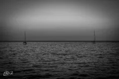 DSC_1000